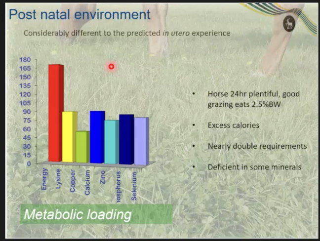 <p>becomes a means of adaptation - acc a good thing in some way</p><p></p><p>cos it minimizes energy loss and facilitates energy storage in the form of fat during spring and summer</p><p>helps survival during a subsequent winter famine</p><p>high insulin resistance diverts more energy to the insulin independent tissues (brain) and less to insulin dependent tissues</p><p></p><p>cosidered a thrifty gene - allows animal to survive when food is scarce</p><p></p><p>remember pregnant doestn mean you should overfeed</p><p>image shows a metabolically loaded foal (almost 200% requirement of energy) and deficient in some minerals (optimal is 100%) </p>