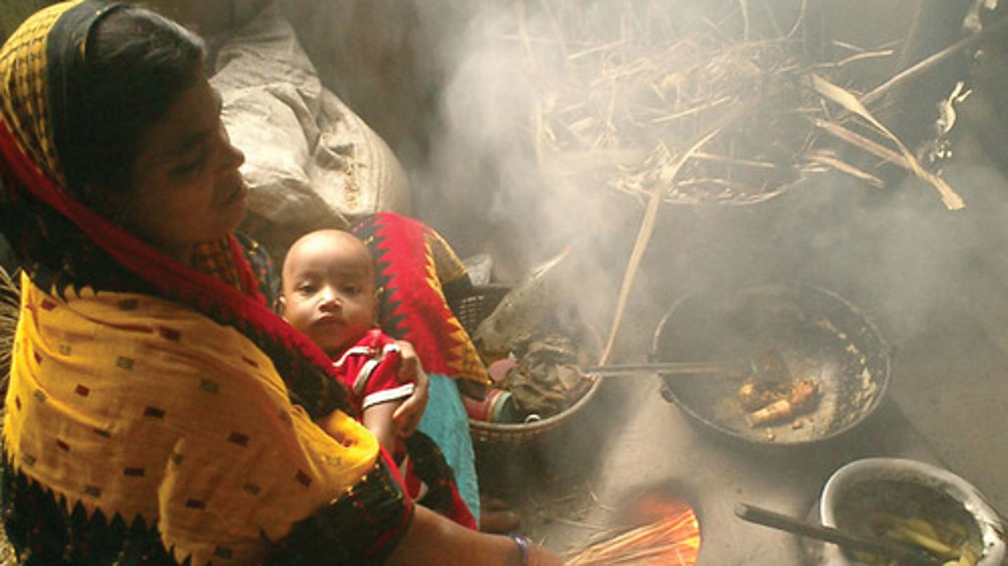 <p>Combusting biomass indoors (as is often done in developing countries) is hazardous to human health: asthma, bronchitis, eye irritation, carbon monoxide poisoning)</p>