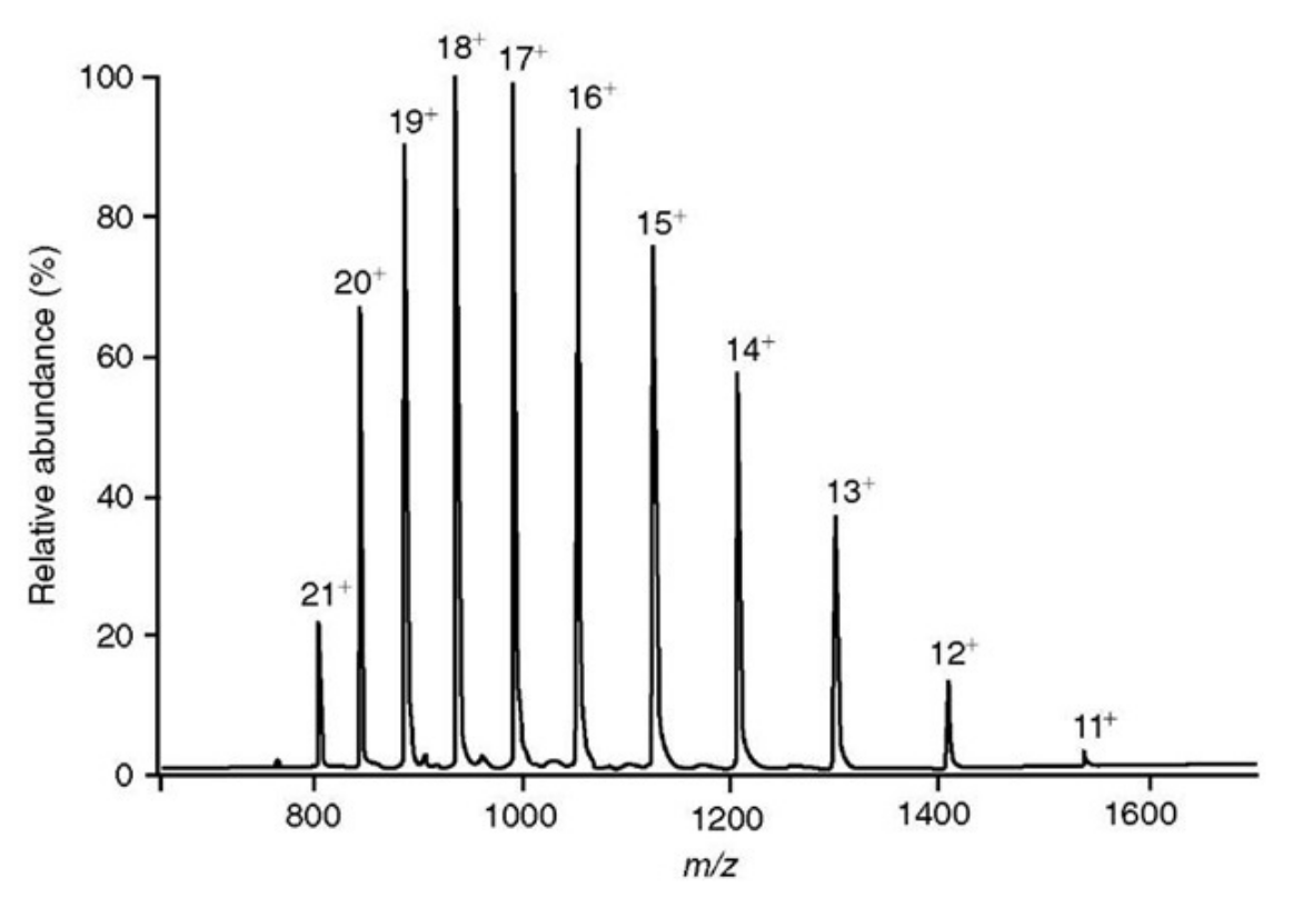 This is the MS of a protein (see picture).

The largest peak (most abundant form) of this protein has a+18 charge. If the m/z ratio of that peak is 950 Da, what is the mass of the protein (choose one)?

* 17,100 Da
* 932 Da
* 950 kDa
* 52.78 Da
* 0.01895 Da