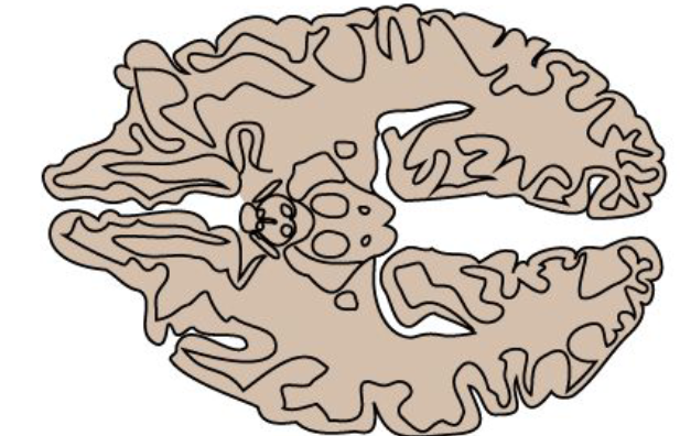 <p>what type of section is this?</p>
