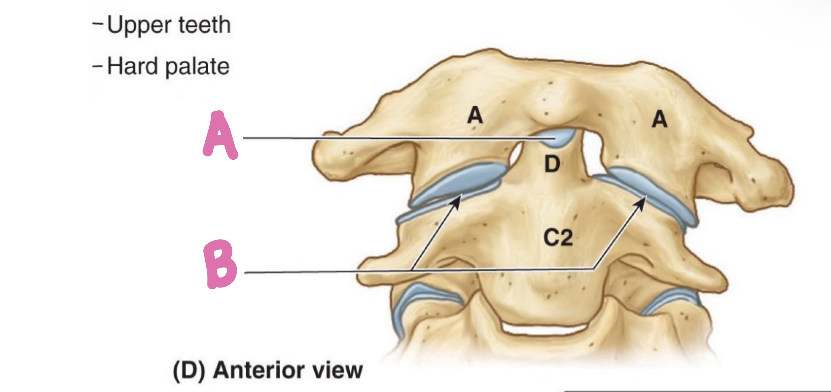 <p>what is A?</p>