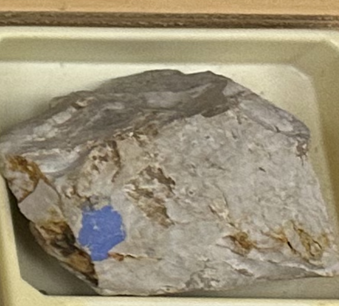 <p><strong><u>CHEMICAL/BIOCHEM</u></strong></p><p><strong>GRAIN:</strong></p><p>size— micro-crystalline, shape— conchoidal fracture, sorting— well-sorted</p><p><strong>HCI: </strong>NO reaction’</p><p><strong>ENVIRONMENT:</strong> deep marine (abyssal plain)</p><p><strong>CEMENT:</strong> silica</p><p><strong>POROUS:</strong> low</p><p><strong>MINERAL(S): </strong>quartz, chalcedony, flint, opal, etc.<br><strong>OTHER:</strong> scratches glass, hard and waxy feel</p>