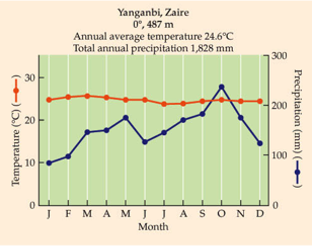 <p>What biome is this?</p><p>Little temp. variation between months.</p><p>May contain half the world’s species, despite 11% of terrestrial vegetative cover.</p><p>Annual rainfall of 2,000-4,000 mm relatively evenly distributed throughout the year. Quickly leaches nutrients. (As things die, broken down quick bc hot and wet, bacteria, etc break it down, lots of competition for the nutrients and get sucked out quickly).</p>