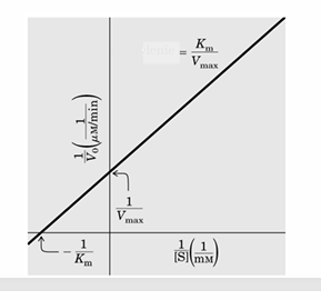 <p>jaki to wykres</p>