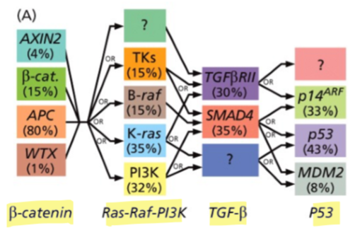 <p>many mutations affecting various genes</p>