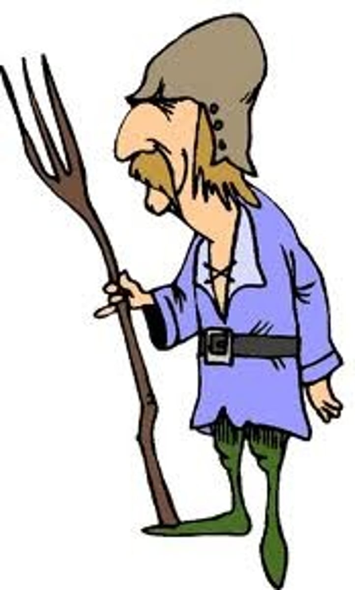 <p>Laborers tied to their land with few rights who were expected to farm, provide services, and pay taxes to their powerful noble, in return for food and protection.</p>
