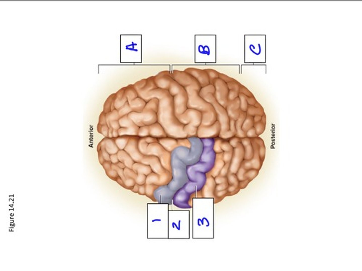 <p>2</p>