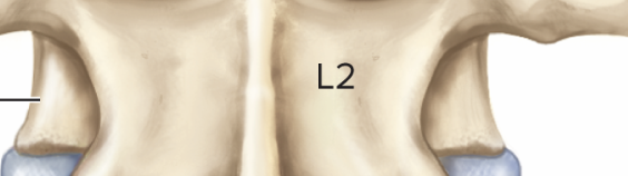 <p>Label</p>