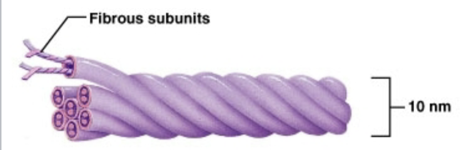 <p>most stable and permanent </p>