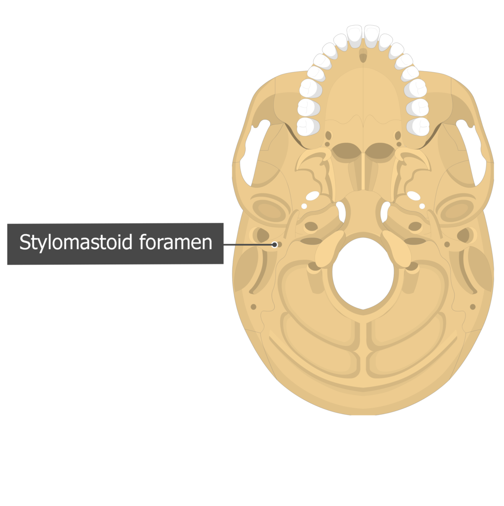 <p>Name the structure</p>