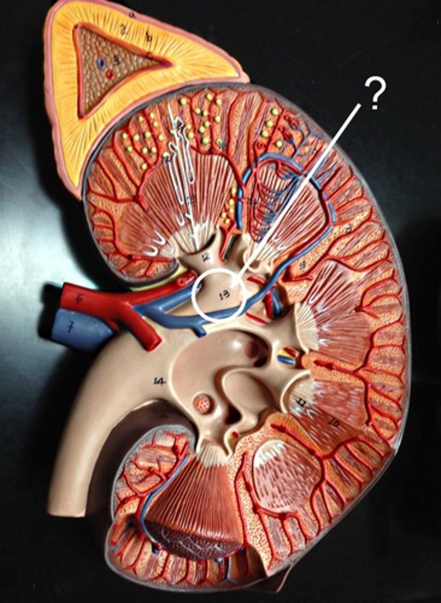 <p>Name this space.</p>