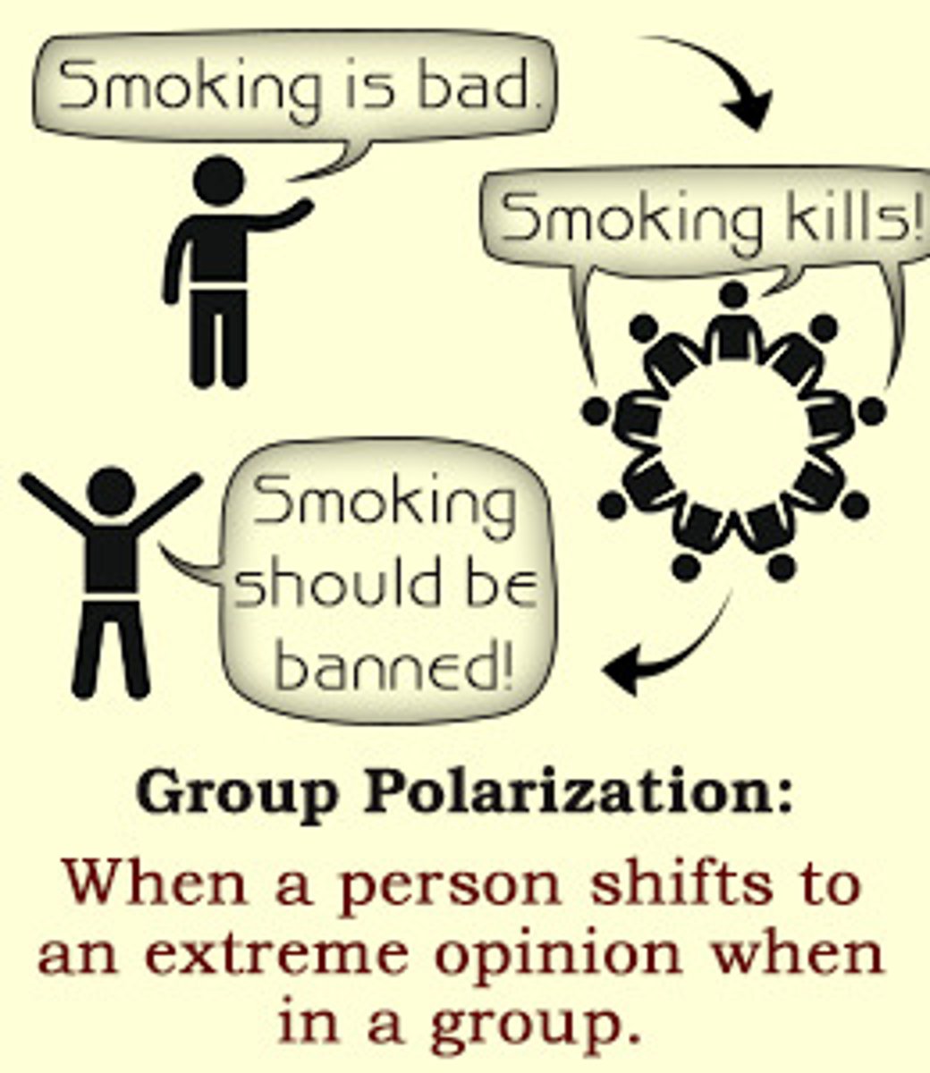 <p>(A) Group Polarization</p><p>The team members left the meeting with a stronger conviction than before in the direction of the average group member's original opinion. This is in line with Group Polarization.</p>