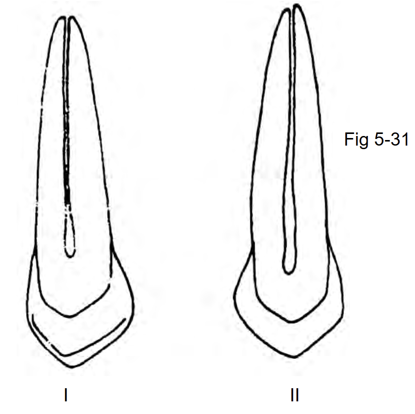 <p>Identify II of Fig 5-31</p>