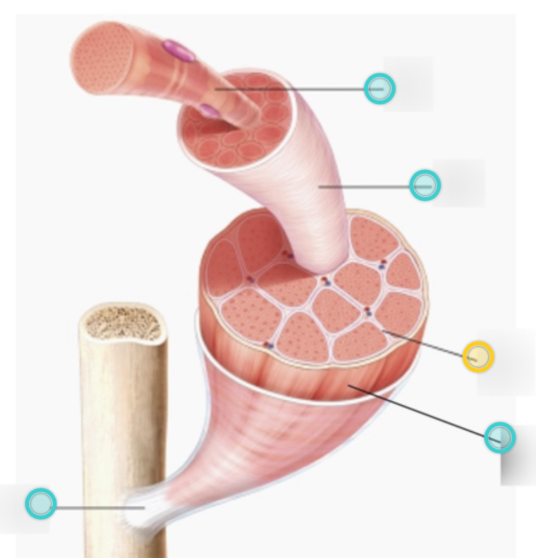 <p>what is this on the diagram?</p>