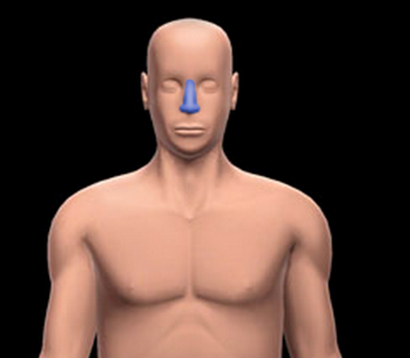 <p>Nose</p>