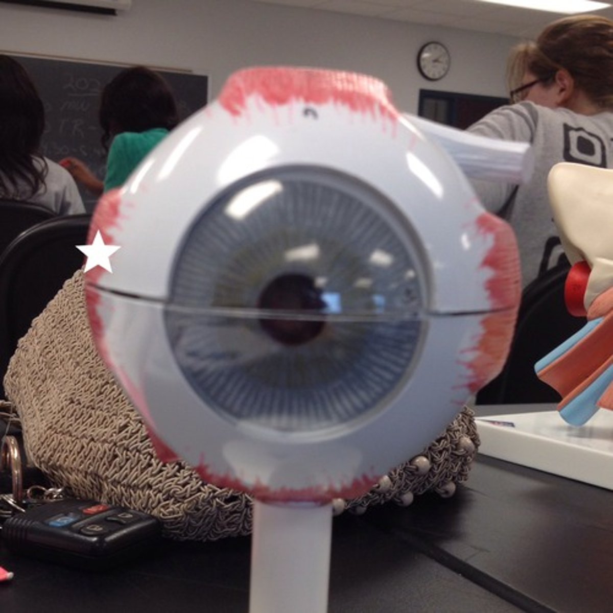 knowt flashcard image