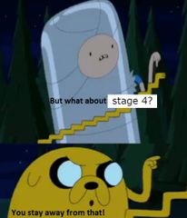 <p>Stage IV (terminal stage)</p>