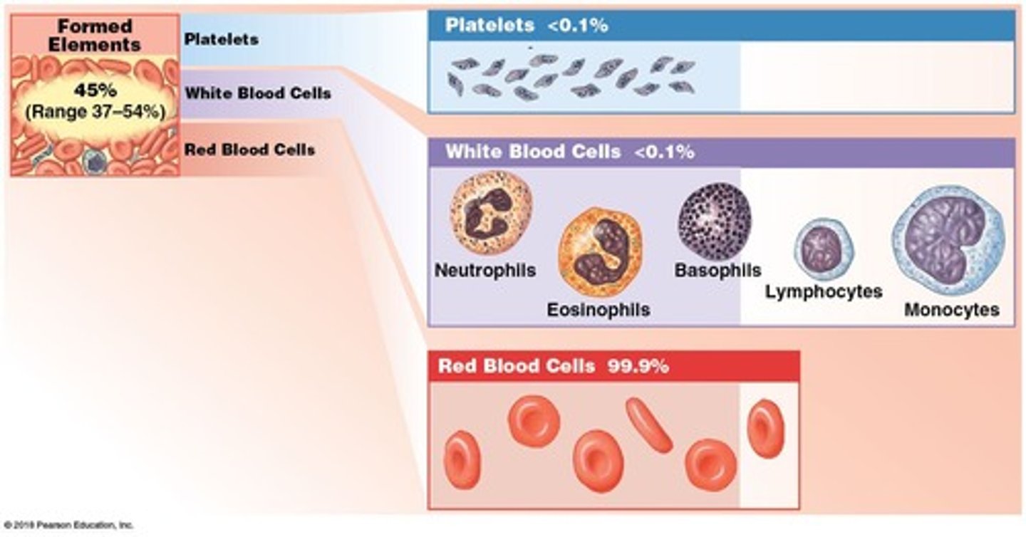 <p>Cells or fragments in blood for various functions.</p>