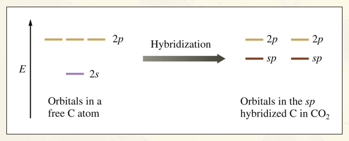 <ul><li><p>Combination of one s and one p orbital.</p></li><li><p>Gives a linear arrangement of atomic orbitals.</p></li><li><p>Two p orbitals are not used.</p></li><li><p>Needed to form the π bonds</p></li></ul><p></p>