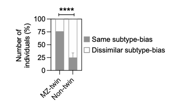 <p>examined monozygotic (identical) and non-twins (have diff MHC) and looked at which proportions had higher same subtype bias vs dissimilar subtype bias </p><ul><li><p>found that much higher proportion of MZ twins had the same subtype bias, indicating a strong genetic factor</p></li></ul><p></p>