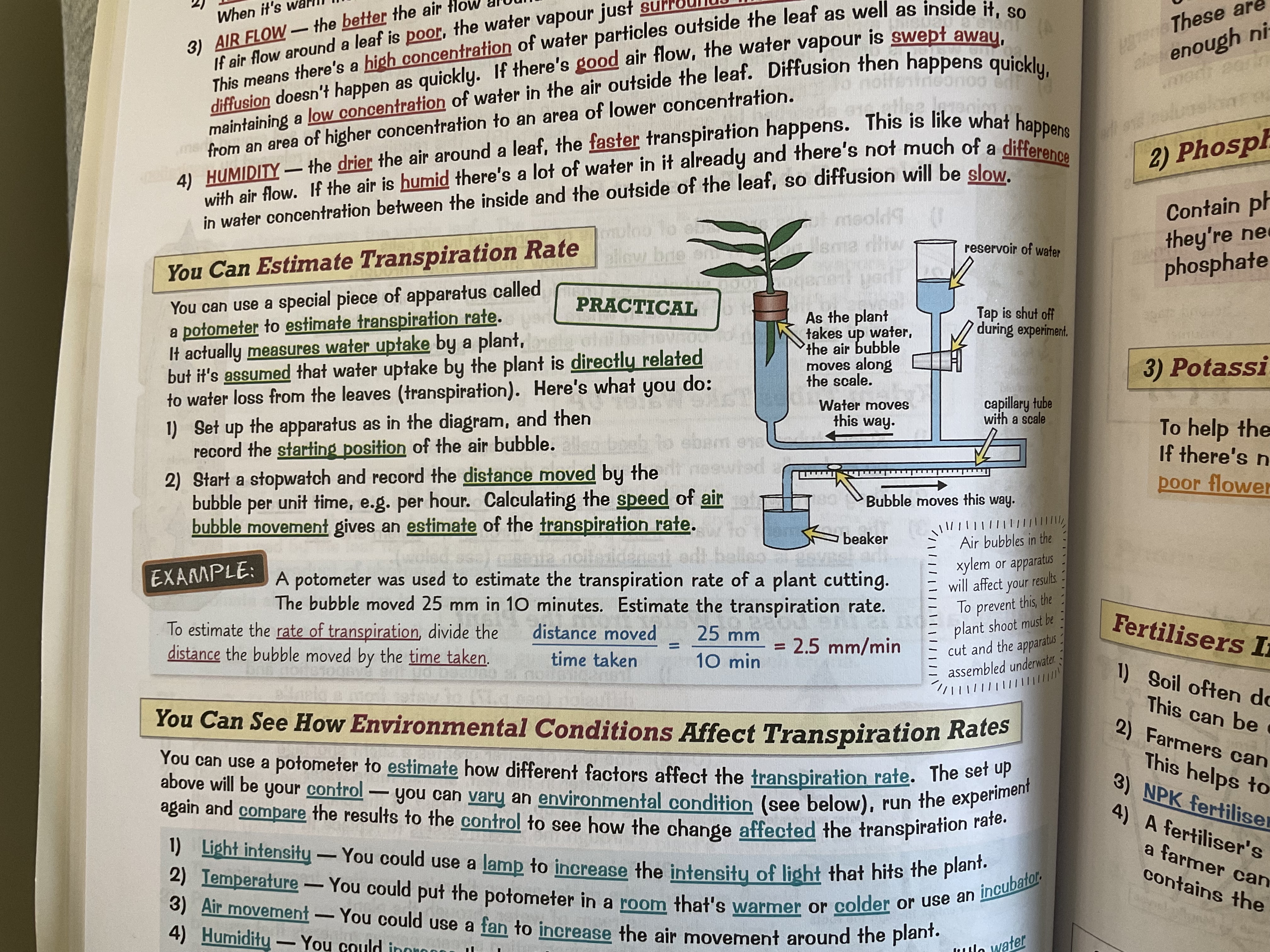 knowt flashcard image