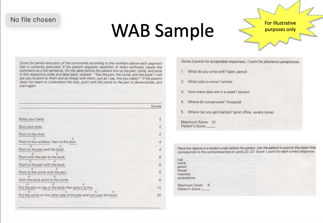 <ul><li><p>Boston Diagnostic Aphasia Examination </p></li><li><p>Western Aphasia Battery (WAB) </p></li><li><p>Boston Naming Test</p></li></ul><p></p>