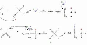 1) H2SO4 gets closer to the double bond \= concentration of e^- repels the e^- in the bond causing an induced dipole.
2) The H from the H2SO4 is bonded to the ethene creating a carbocation and HSO4^- molecule.
3) Water joins onto the carbocation to make another molecule where the H2O is +.

HYDROLYSIS:
4) The HSO4^- ion takes the H from the bonded water molecule to make both of the molecules more stable.
5) This created H2SO4 and Ethanol.
