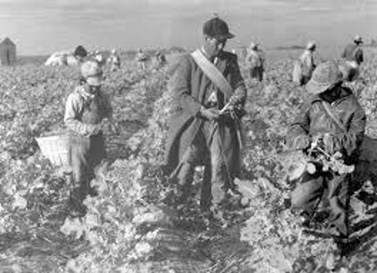 <p>Tomás Rivera Siglo XX</p>