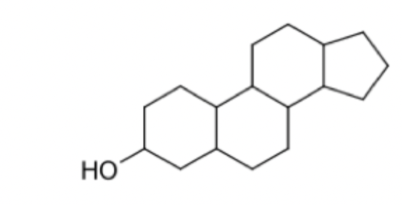 <p>Apical-Sodium-dependent Bile acid Transporter</p><p>Apical Membrane Absorptive Transporter (from intestinal lumen (gut) into enterocytes)</p><p>Substrates are Bile Acids</p>