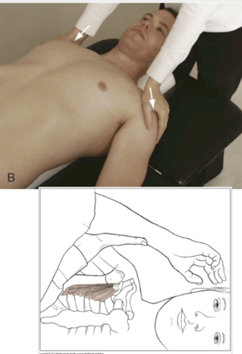 <p>Starting position: supine, shoulders slightly abducted</p><p>Testing motion: Assess distance from acromion to table, apply over pressure (if tolerated by the pt) until resistance is felt</p><p>Negative: no tissue stretch with overpressure</p><p>Positive: tissue stretching with overpressure </p>