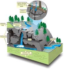 <p>formed when carbonate’s are dissolved within water, creating a sinkhole</p>