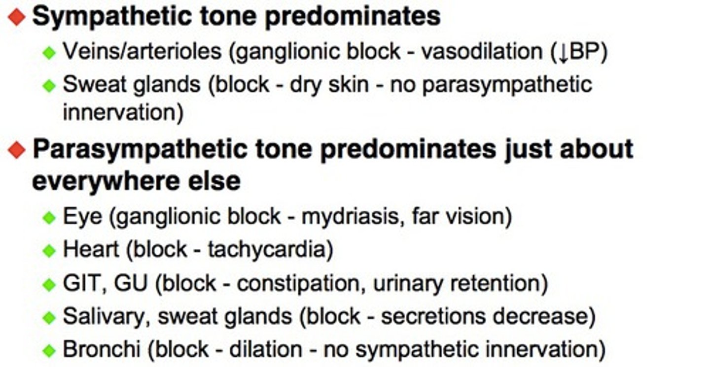 <p>-constant level of parasympathetic stimulation that slows the heart &amp; sets normal activity levels for digestion &amp; urination<br>-parasympathetic division dominates heart &amp; smooth muscle of digestive &amp; urinary tract organs &amp; most glands</p>
