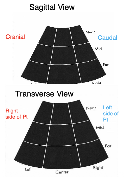 <p>Sagittal view: marker faces cranially</p><p>Transverse view: marker faces right side of patient</p>