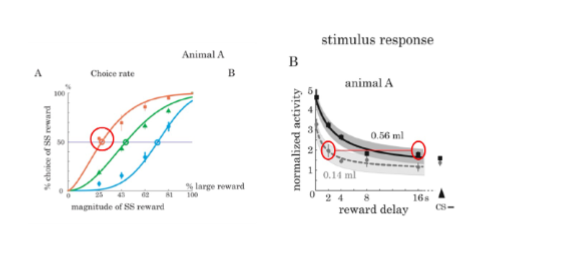 <p><span style="background-color: transparent;"><strong><span>Kashi and Schultz (2008)</span></strong></span></p><p>what does graph show us about neuron data and behavior</p>