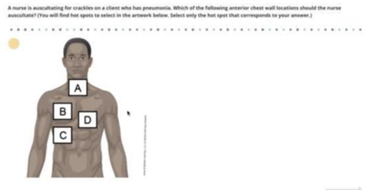 <p>C: below left chest</p>