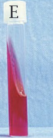 <p>Fully red kligler’s slant</p>