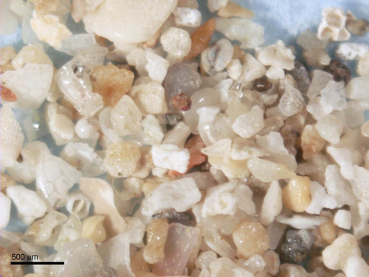 <p>small pieces of rocks that are broken up.</p>