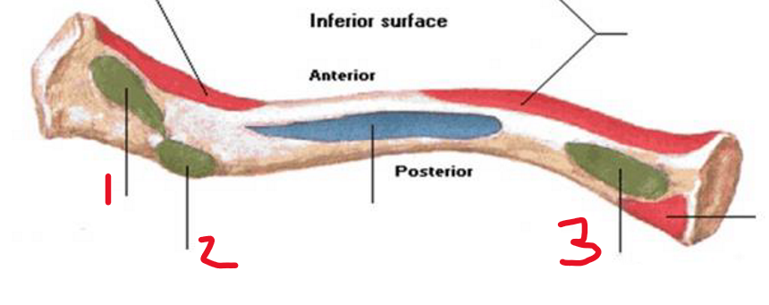 <p>2</p>