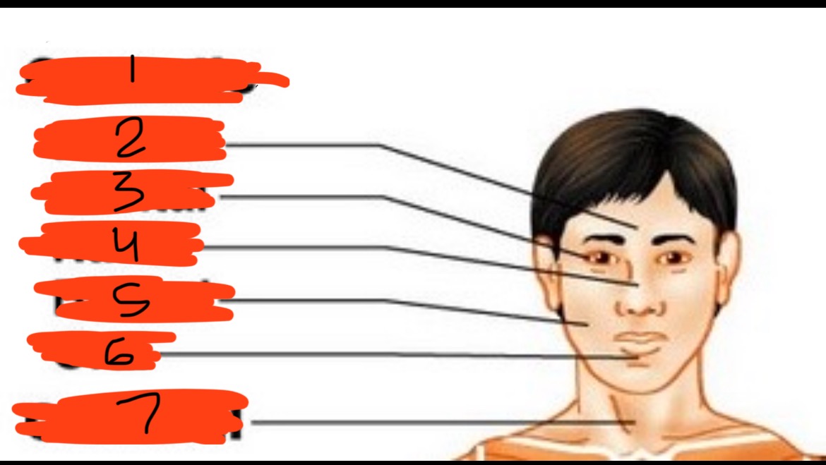 <p></p>