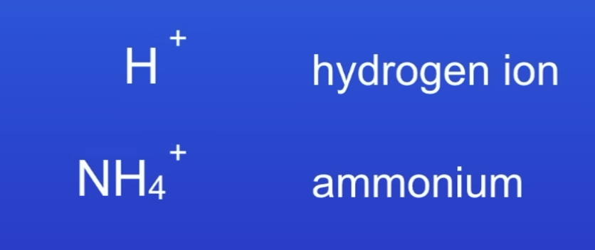 <p>Form positive ions, not -</p>