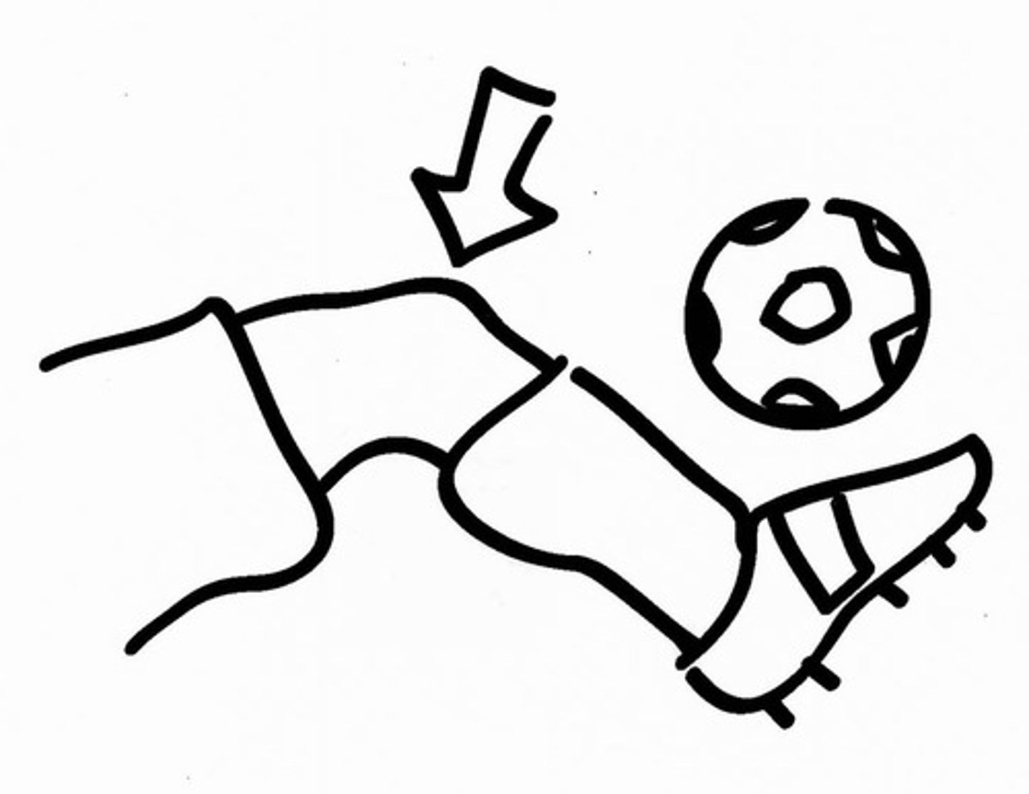 <p>xī</p><p>knee</p>