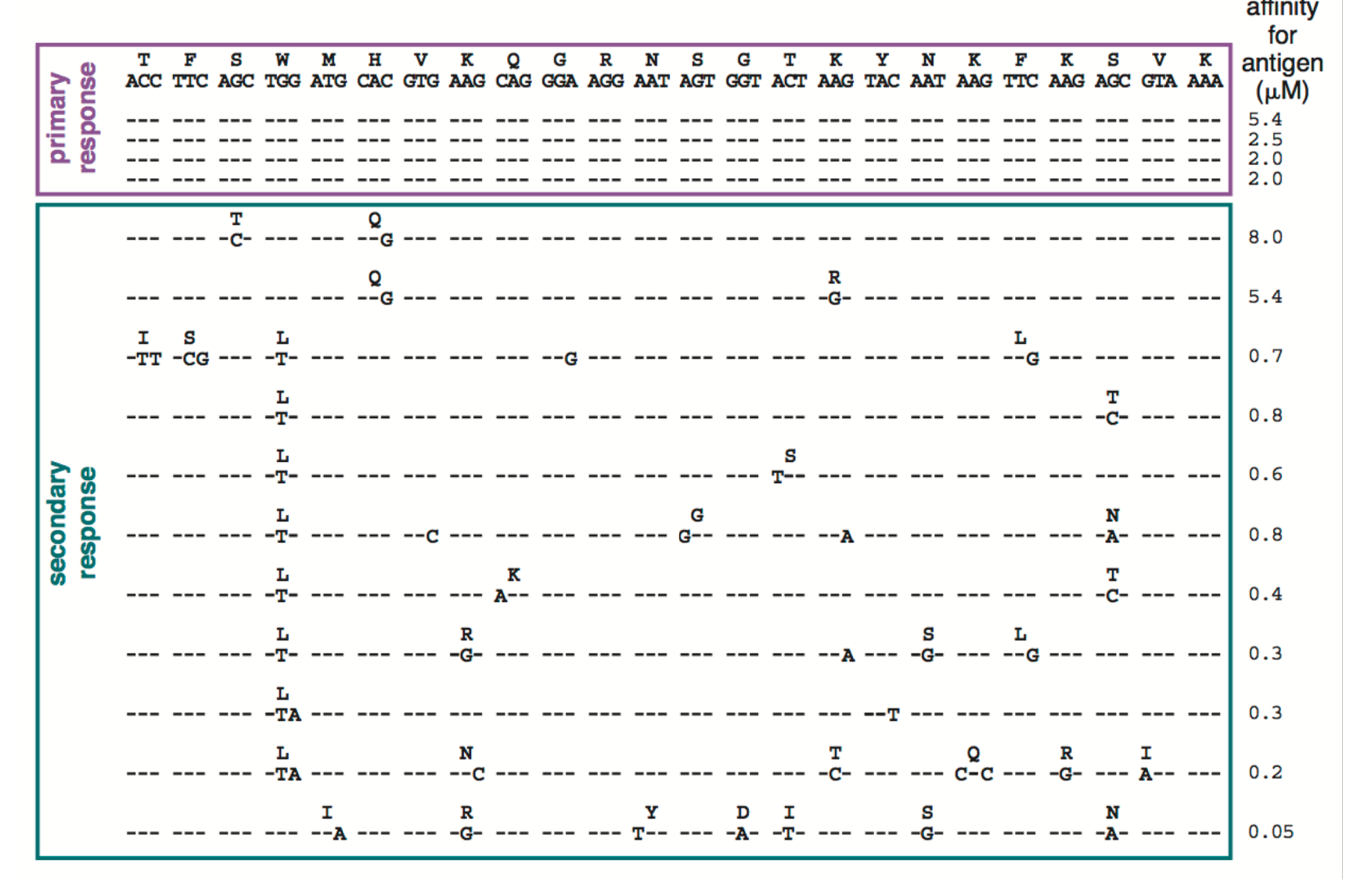 <p>What is the difference between the primary and secondary response </p>