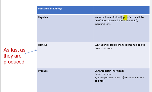 <p>_______ functions: Regulate by increasing or decreasing secretion</p>