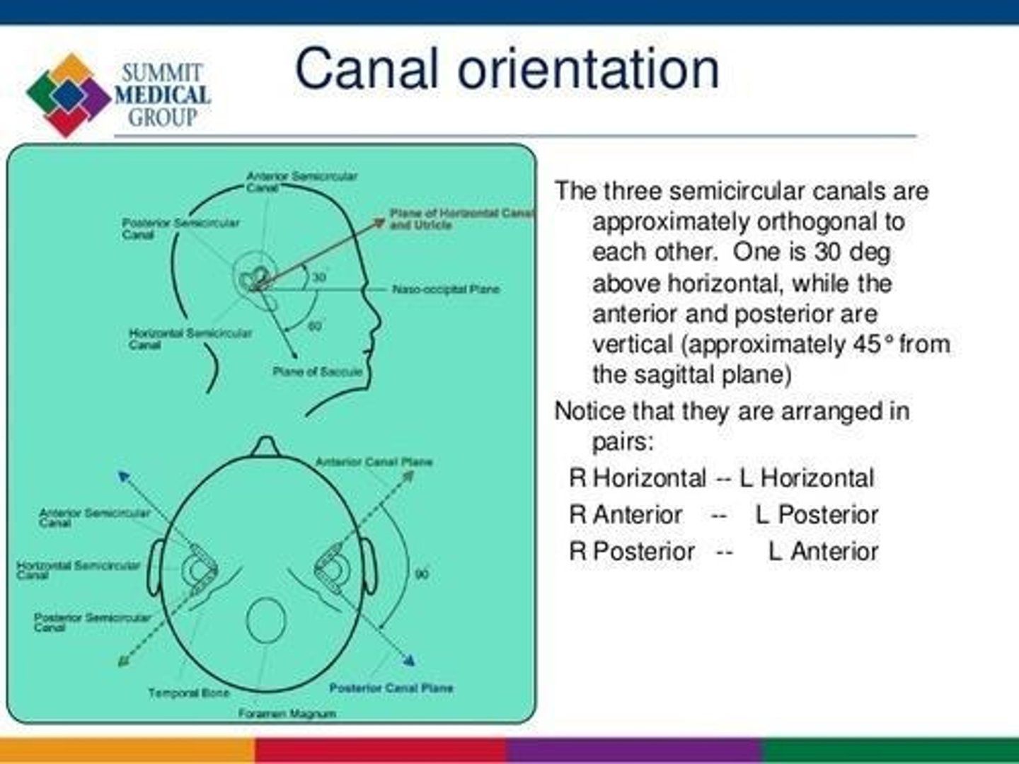 <p>Anterior (inferior), posterior (superior), and horizontal (lateral).</p>