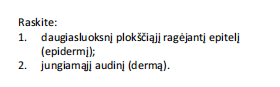 <p>purusis ir glaudusis netaisyklingas skaidulinis (kologeninis) jungiamasis audinys (piršto oda)</p>