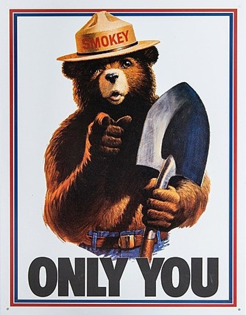 <p>... has been used to urge Americans to behave responsibly to fire, with 96% of Americans recognising the icon and 70% recalling his fire safety message<br> average hectares lost to wildfires annually has fallen from 54 million (1944) to 16.5 million</p>