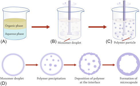 <p>Staged Templated Suspension Polymerisation</p>