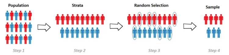 <ul><li><p><strong>Select a sample that has a proportionate makeup of the population based on varying categories</strong></p><ul><li><p>age</p></li><li><p>sex</p></li><li><p>ethnicities</p></li><li><p>etc</p><p></p></li></ul></li><li><p>Then, probability sampling, such as random sampling, is used to select the sample</p><ul><li><p>if not used, it’s considered quota sampling</p></li></ul></li></ul><p></p>