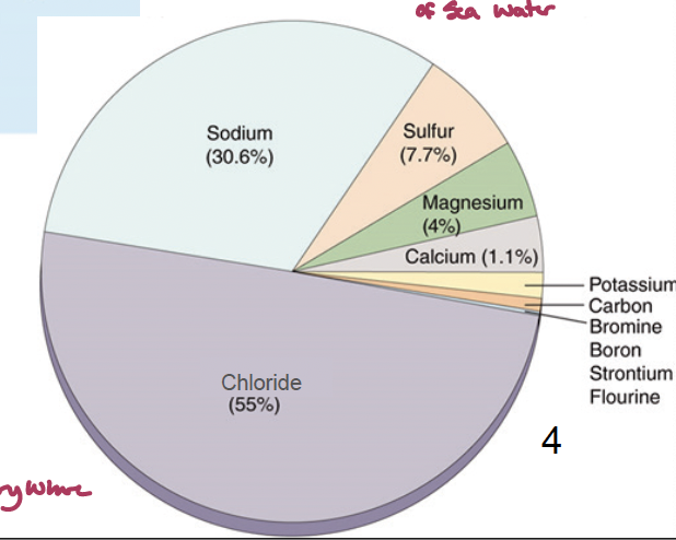 <p>the properties of sea water is constant even with changes in salinity (dynamic equilibrium)</p>