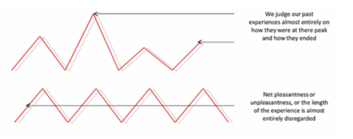 <p>Judgment based on peak and end emotions.</p>